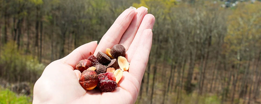 میان وعده برای کوهنوردی طولانی